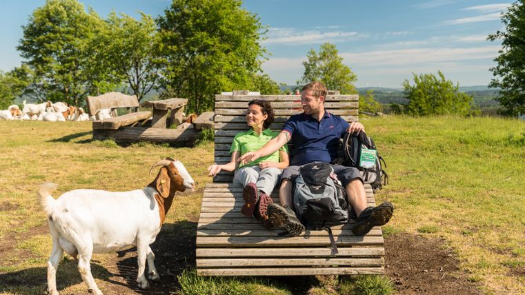 Zwei Personen entspannen auf einer Holzliege in der Natur, während eine Ziege daneben steht. Im Hintergrund sind Bäume und weitere Ziegen zu sehen.