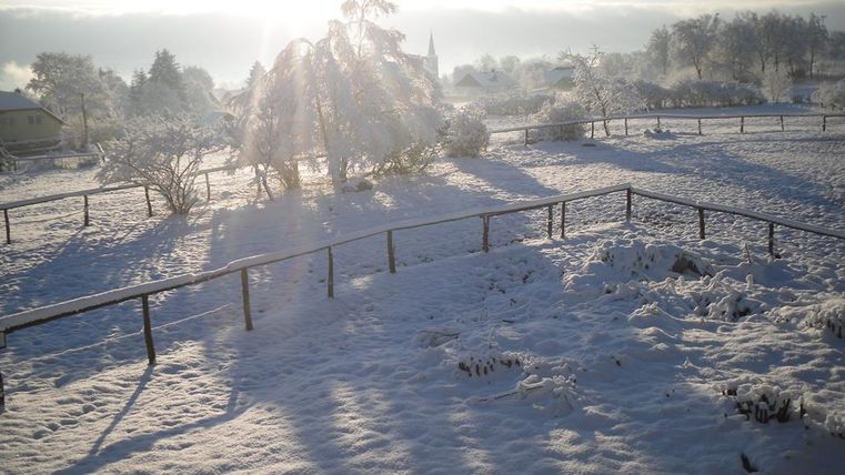 Eine verschneite Landschaft mit Bäumen und einem Zaun. Die Sonne scheint hinter den Bäumen und schafft eine winterliche Atmosphäre.