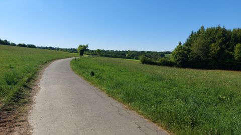 Eine kurvenreiche Straße führt durch eine grüne Landschaft. Im Hintergrund sind Bäume und strahlend blauer Himmel zu sehen.