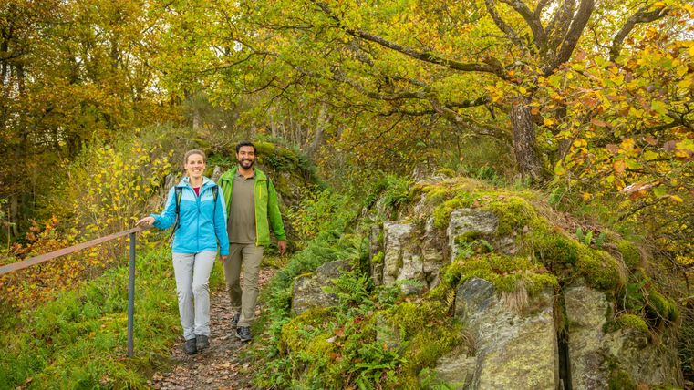 Ein Paar wandert auf einem malerischen Weg durch herbstliche Wälder. Die Sonne strahlt durch die bunten Blätter der Bäume.