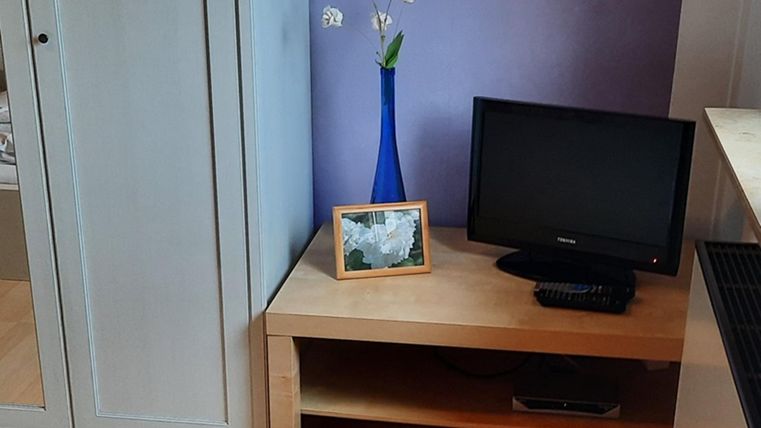 Ein gemütliches Zimmer mit einem Fernseher auf einem Holzschrank. Auf dem Tisch steht eine Vase mit Blumen und ein gerahmtes Bild.