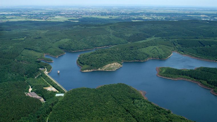 Eine malerische Landschaft mit einem ruhigen See, umgeben von dichten Wäldern. Der Himmel ist klar und die Natur ist üppig grün.