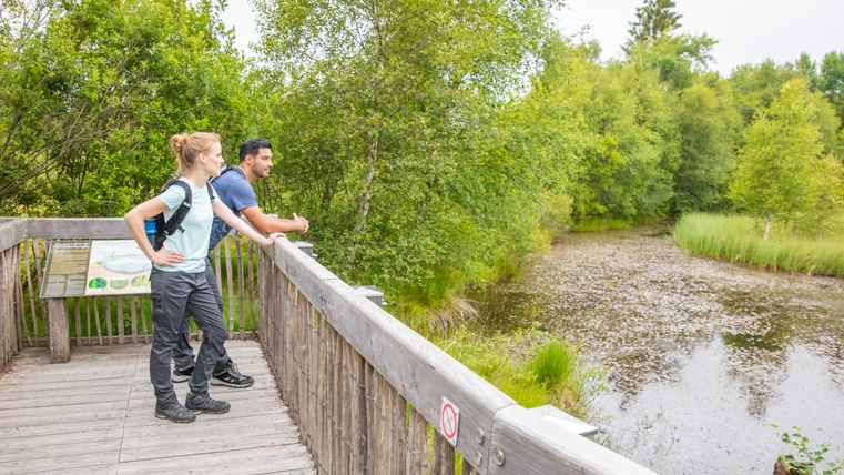Zwei Personen auf einer Holzplattform blicken auf ein Moor in einem Waldgebiet.