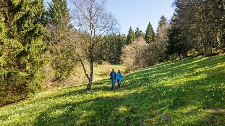 Ein Paar spaziert in einer grünen Wiese, umgeben von Bäumen. Die Blumen blühen, und der Himmel ist klar und blau.