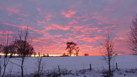Ein winterlicher Sonnenuntergang mit leuchtenden Farben am Himmel. Im Vordergrund sind schneebedeckte Felder und vereinzelte Bäume zu sehen.