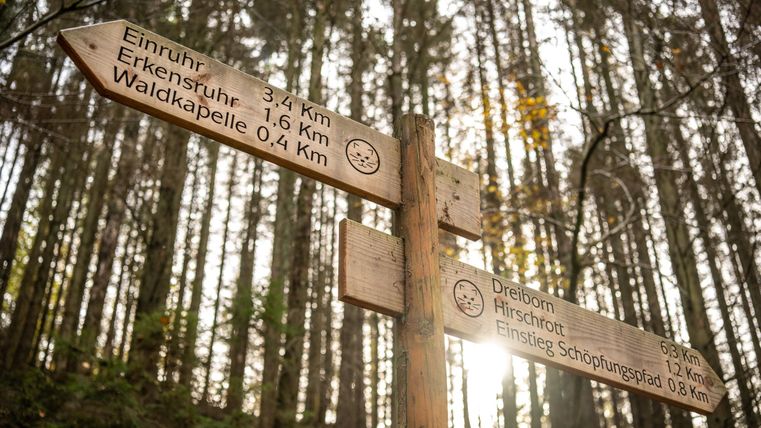 Ein Holzwegschild in einem Wald mit verschiedenen Wanderzielen und Entfernungen. Die Sonne scheint durch die Bäume und schafft eine angenehme Atmosphäre.