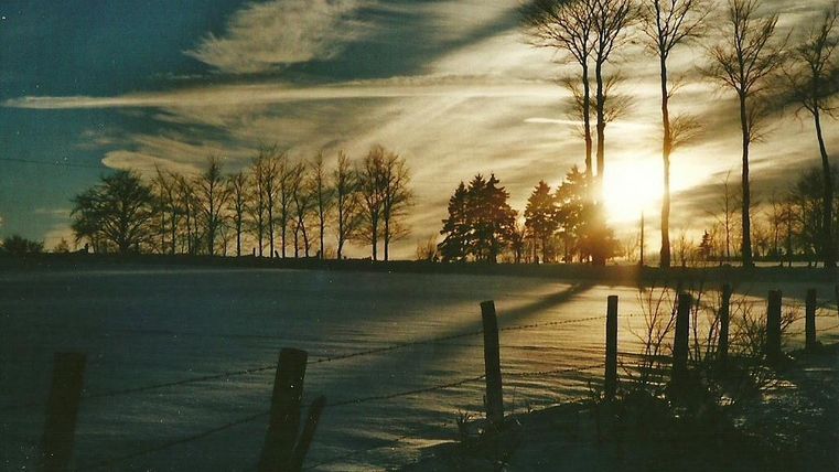 Eine winterliche Landschaft mit verschneiten Feldern und Bäumen im Hintergrund. Die Sonne geht am Horizont auf und färbt den Himmel in warmen Tönen.