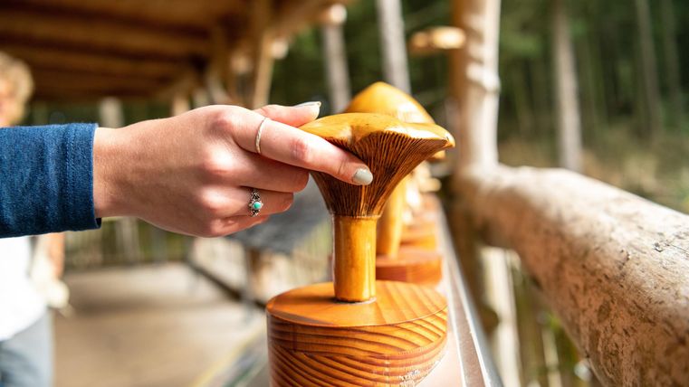 Eine Frauenhand ertastet einen aus Holz dargestellten Pilz