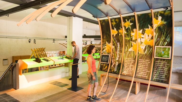 Ausstellung über wilde Narzissen im Nationalparktor Höfen.