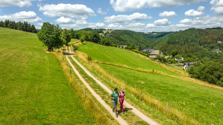 Zwei Wanderer auf einem Weg in einer grünen Hügellandschaft mit blauem Himmel und Wolken.