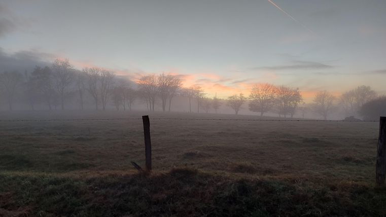 Ein nebliges Feld bei Sonnenaufgang mit sanften Farben am Himmel. Im Hintergrund sind Bäume zu sehen, die von der Morgennebel umgeben sind.