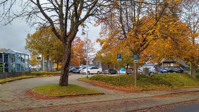 Eine ruhige Parkstraße mit bunten Herbstbäumen. Autos stehen in einem Parkplatz in der Nähe.