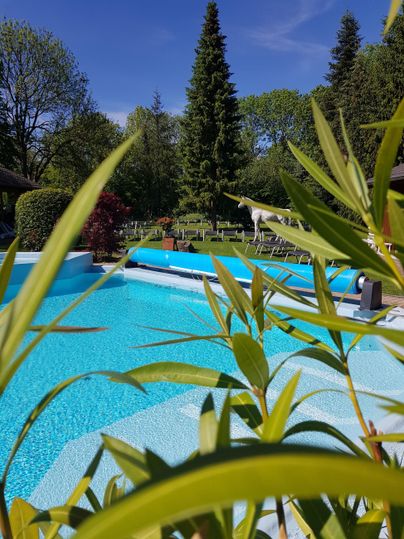 Ein schöner Pool umgeben von grünem Gras und Pflanzen. Im Hintergrund sind Bäume und ein klarer blauer Himmel zu sehen.