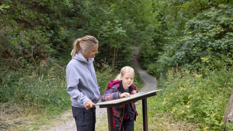 Eine Frau und ein Kind lesen eine Infotafel im Wald.
