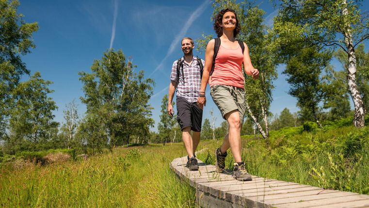Zwei Personen wandern auf einem Holzsteg durch eine grüne, bewaldete Landschaft. Der Himmel ist blau und die Sonne scheint.