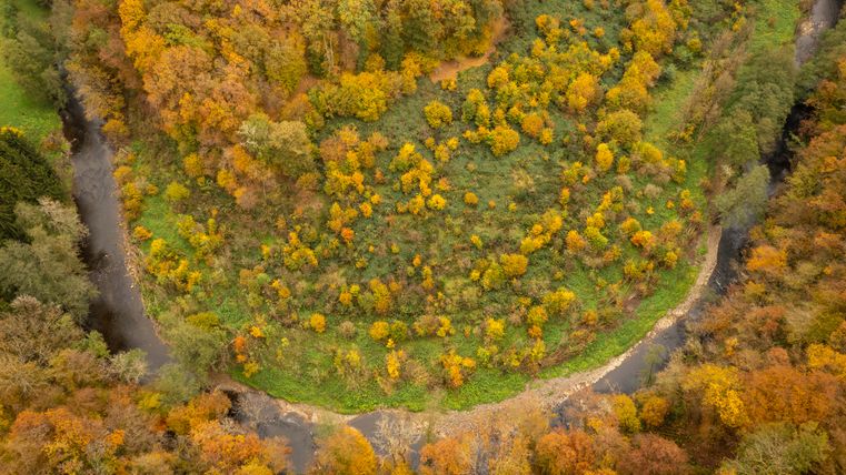 Luftaufnahme eines Flusses, der sich durch eine herbstliche Landschaft mit bunten Bäumen windet.