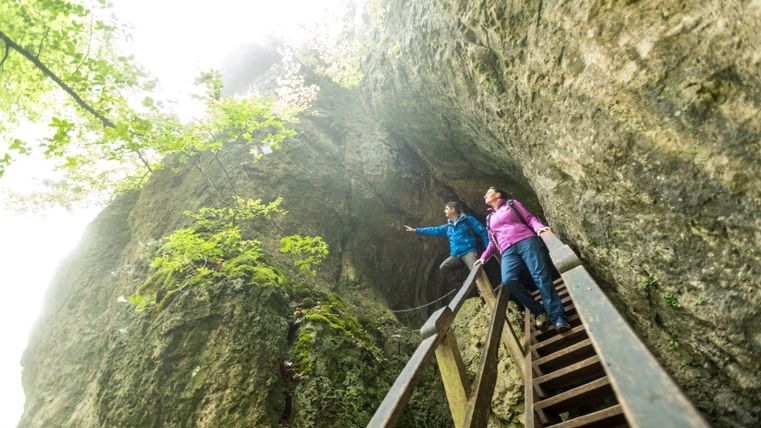 Zwei Personen auf einer Holztreppe in einer felsigen Höhle mit Pflanzen.