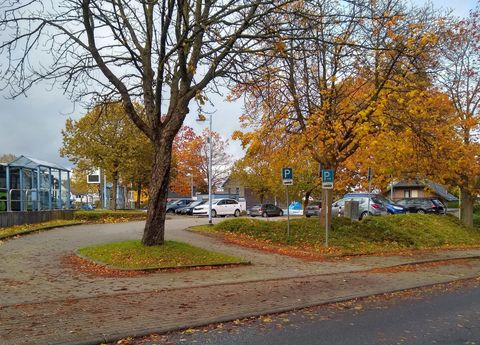 Eine ruhige Parkstraße mit bunten Herbstbäumen. Autos stehen in einem Parkplatz in der Nähe.