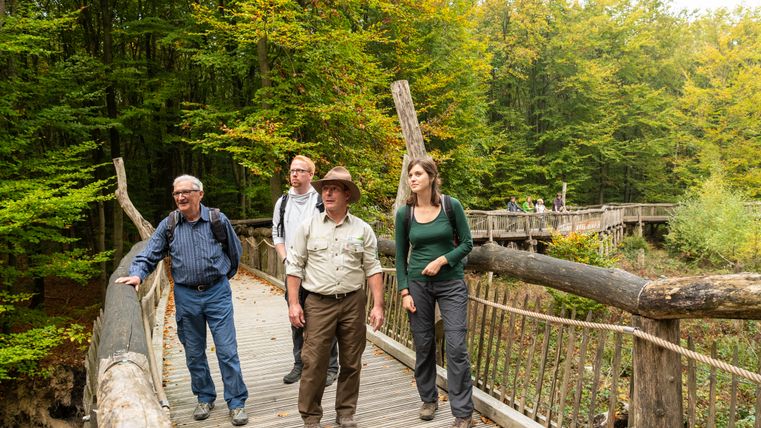 Der Ranger mit drei weiteren Personen auf einem langen Holzsteg im Wald