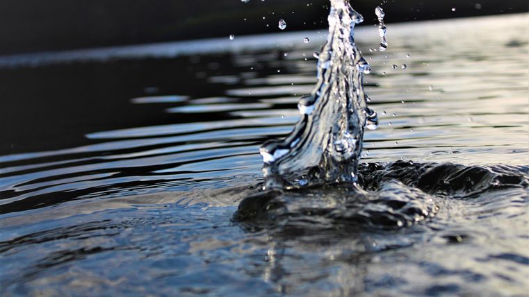 Ein Wasserstrahl spritzt aus der Oberfläche eines ruhigen Gewässers. Die Wellen reflektieren das Licht und verleihen der Szene eine ruhige Atmosphäre.