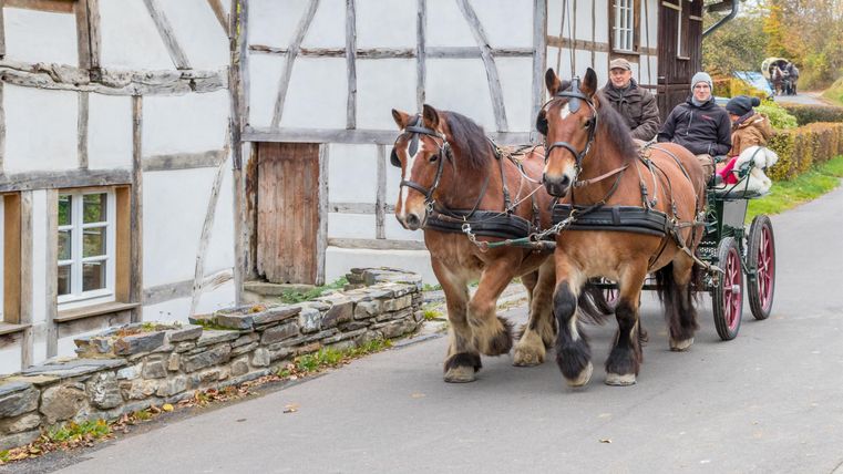 Zwei Pferde ziehen eine Kutsche mit Passagieren auf einer ländlichen Straße. Im Hintergrund sind traditionelle, vollständig verzierte Fachwerkhäuser zu sehen.