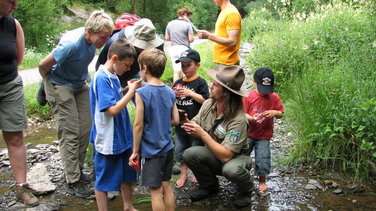 Ein Ranger zeigt einer Gruppe Kindern etwas in einem Bachlauf