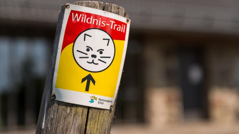 Ein Wegweiser zum Wildnis-Trail mit einem freundlichen Katzen-Symbol. Der Pfeil zeigt nach oben.