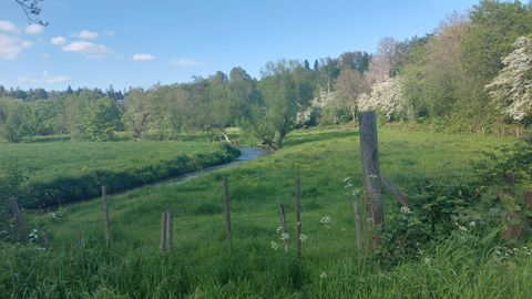 Eine grüne Wiese mit Bäumen und einem kleinen Fluss im Hintergrund. Der Himmel ist blau mit einigen Wolken.