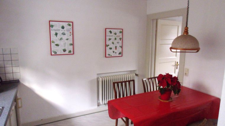 Ein einfaches Esszimmer mit einem roten Tisch und Holzmöbeln. An den Wänden hängen zwei Poster mit Pflanzenmotiven.