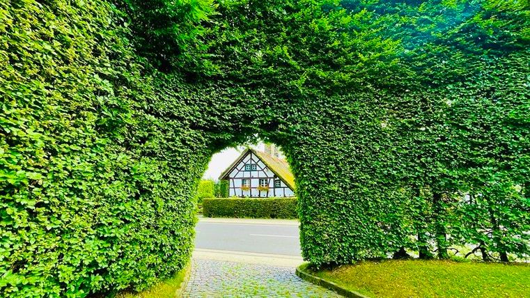 Ein gepflasterter Weg führt durch einen grünen, bogenförmigen Heckenbogen. Im Hintergrund ist ein Haus mit Fachwerkstil sichtbar.