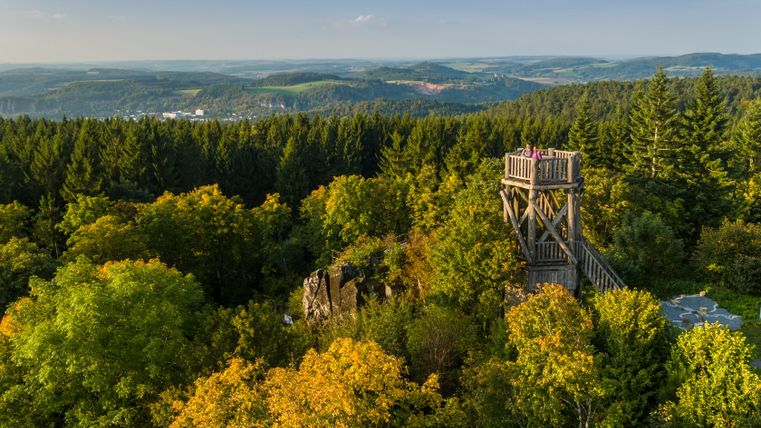 Holzaussichtsturm inmitten eines herbstlichen Waldes mit weitem Blick über die Landschaft.