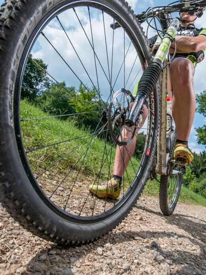 Ein Sportler fährt mit einem Mountainbike auf einem schmalen Weg. Im Vordergrund ist das Rad deutlich sichtbar, und im Hintergrund sieht man grüne Bäume und einen blauen Himmel.
