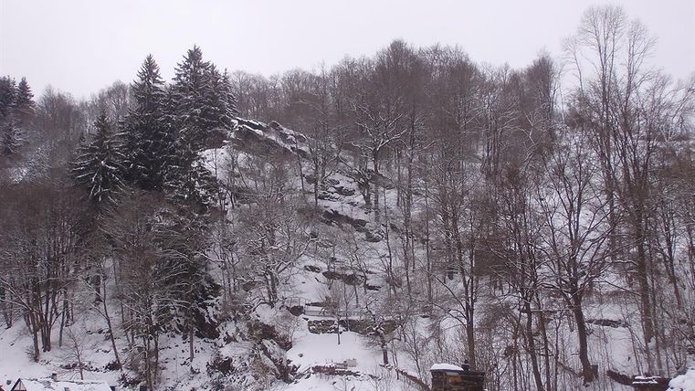 Eine verschneite Landschaft mit Bäumen und einem steilen Hang. Im Vordergrund sind Dächer von kleinen Häusern sichtbar.