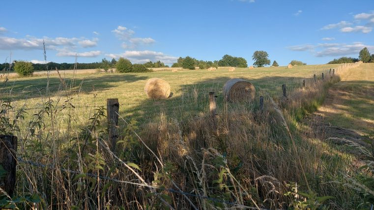 Eine grüne Wiese mit Heuballen und einem blauen Himmel. Ein Zaun und einige Bäume sind im Hintergrund sichtbar.